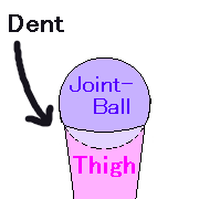 image of joint of thigh2